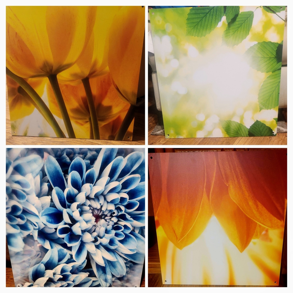Floral Wall Art Set - Yellow, Green, Blue